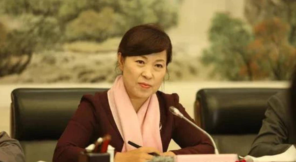 AC米兰vs克雷莫内塞
_“换装主席”王莉霞的堕落：从光鲜人设到腐败深渊