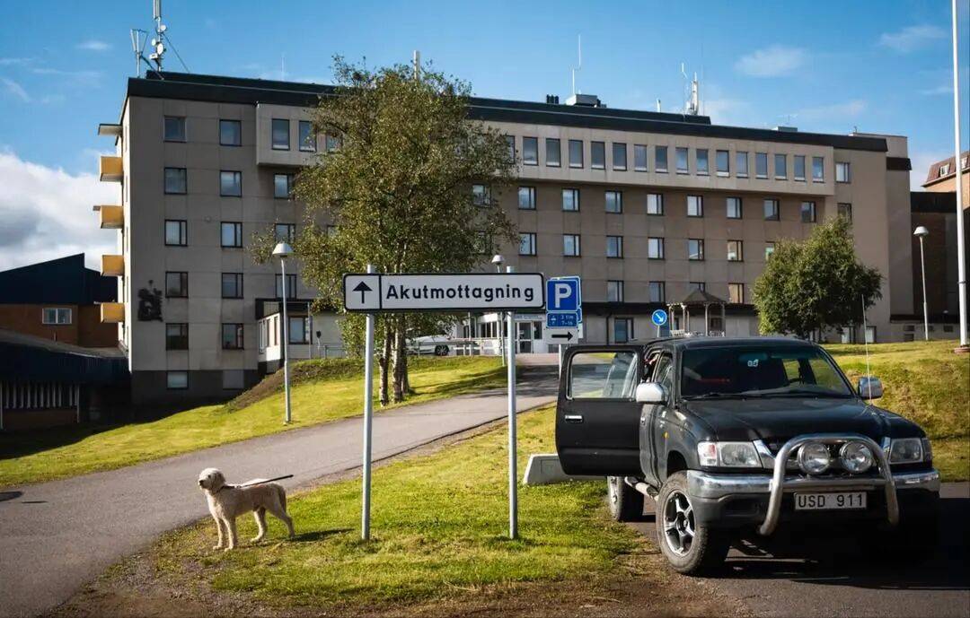 AlK法兰地Vs天狼星_中国旅行团8人在瑞典采野生蘑菇中毒AlK法兰地Vs天狼星,医院尚未确定误食的具体蘑菇种类