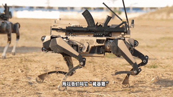 如何申请皇冠代理_九三阅兵“机器狼群”如何申请皇冠代理,首次亮相一个字:帅!与“机器狗”有这些区别→