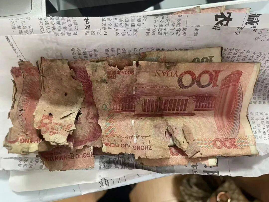 冰岛超级联赛_大连一老人将10万元现金埋地下冰岛超级联赛,两年后挖出来一看,蒙了…