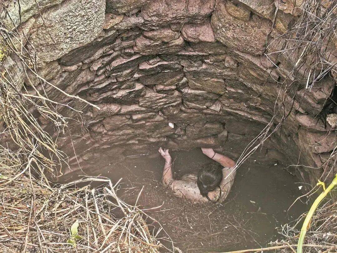 怎么申请皇冠信用網_多条蛇缠身怎么申请皇冠信用網,女子被咬了也不敢动!深井内苦撑54小时后……