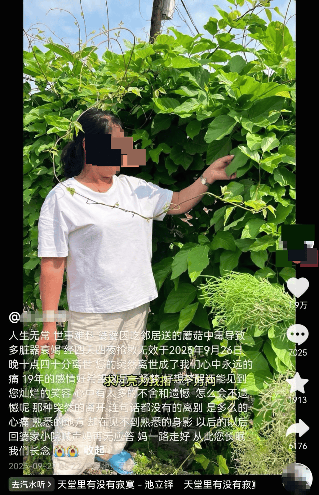 皇冠信用盘登2代理_网红发文悼念婆婆:吃了邻居送的蘑菇中毒皇冠信用盘登2代理,抢救四天四夜死亡!这些蘑菇避毒原则可能是陷阱→