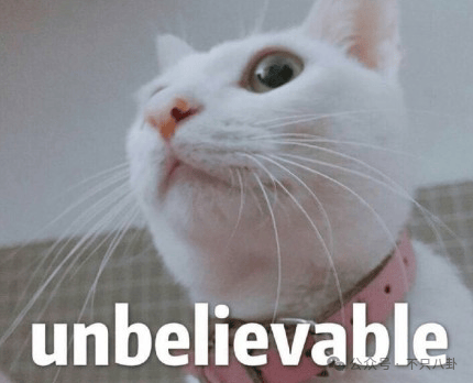 NBA篮球返水_他俩没分手但被拍到吵架了NBA篮球返水，吵得很凶......