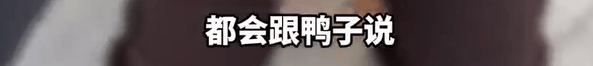 本菲卡 vs 勒洪库森
_养了四年的宠物鸭被汽车碾死本菲卡 vs 勒洪库森
,老太太当街包鸭痛哭,目击者:她老伴重病,鸭子是用来祈福的