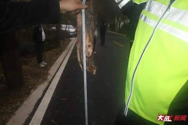 皇冠信用網网址
_陕西兴平56岁女教师骑电动车“撞树枝”身亡皇冠信用網网址
,交警判定担主责,家属提出诸多质疑,多方回应