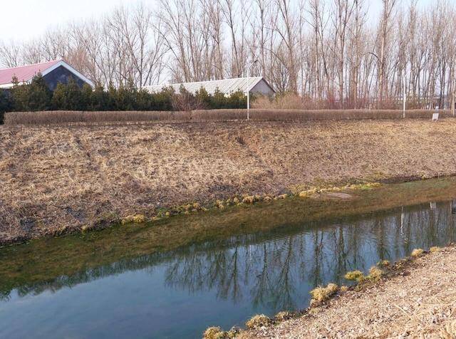 皇冠信用网最高占成_“挺壮观皇冠信用网最高占成,好像水被煮开了”!时隔30余年,顺义箭杆河泉眼复涌