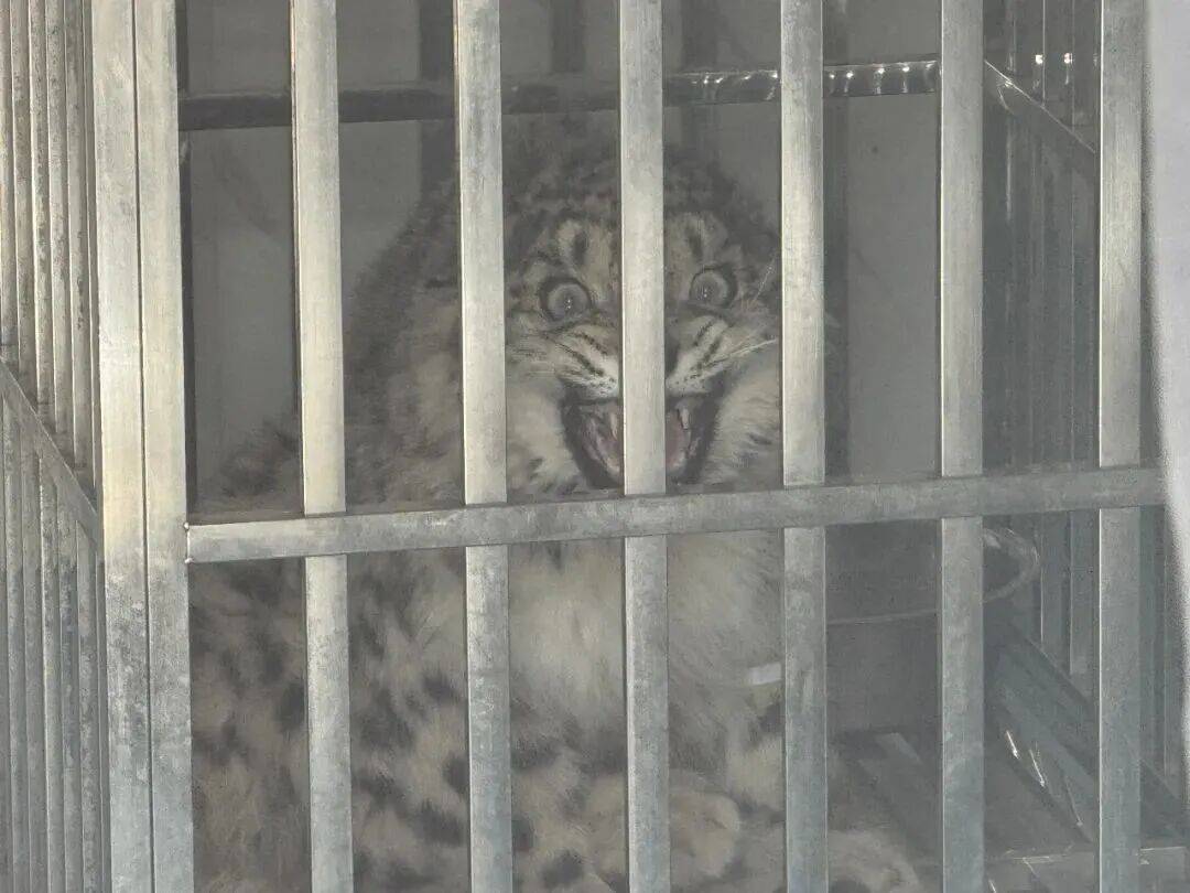 皇冠信用网在线开户_昆明一公园长期大门紧锁！有市民称已关闭6年皇冠信用网在线开户，管理方回应丨早读新闻4.8