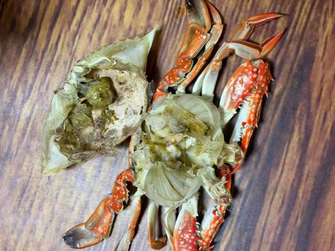 皇冠电话_冷冻货车低价卖海鲜皇冠电话，黑龙江一市民花1250元买十余箱！回家蒸熟傻眼了：几乎是空壳，根本没法吃